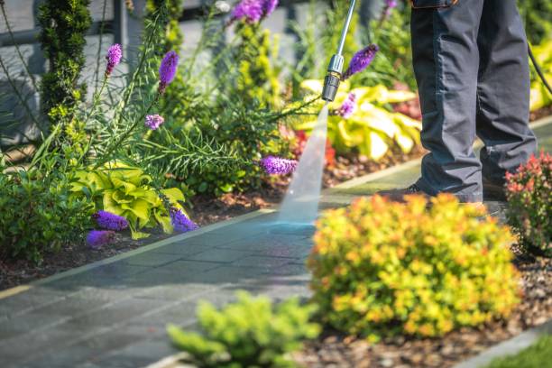 Best Animal Enclosure Cleaning  in Harrington Park, NJ