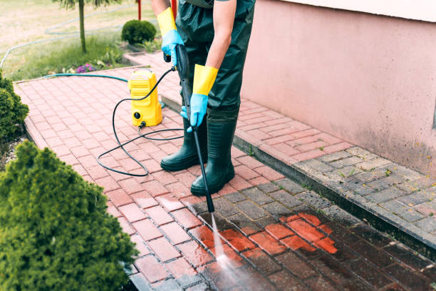 Best Gutter Cleaning  in Harrington Park, NJ